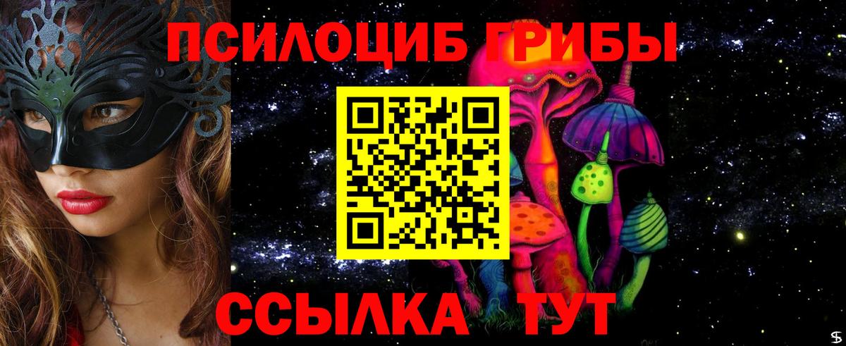 Галлюциногенные грибы Psilocybine cubensis  Вход с VPN  Псилоцибиновые грибы прущие грибы  Острогожск 